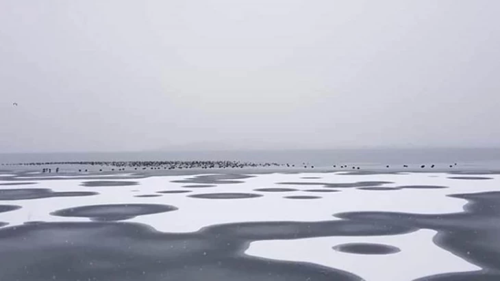 Τον γύρο του κόσμου κάνουν οι πολικές συνθήκες σε περιοχές της Ελλάδας